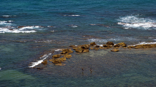 海