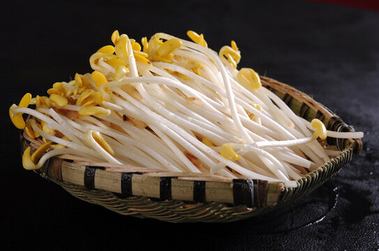 豆芽