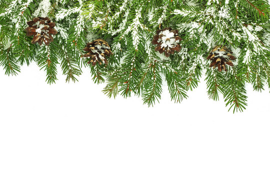 帶雪和圓錐體的圣誕框架