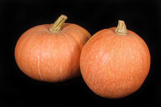 halloweesn橙色的南瓜