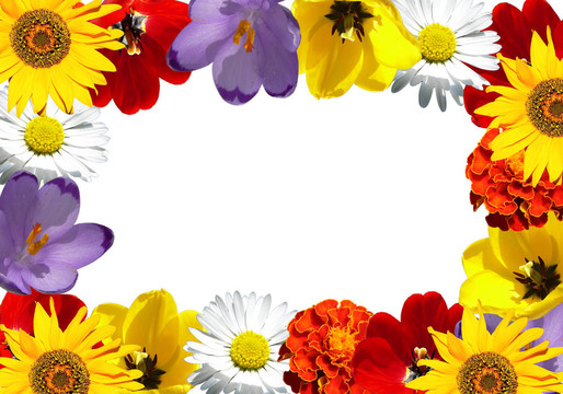 花框