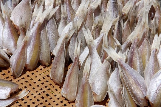干魚