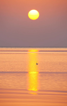 海上日出