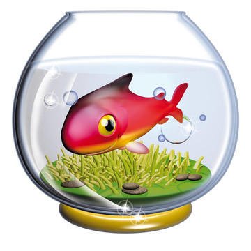 在魚缸里的魚