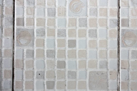 貝殼瓷磚