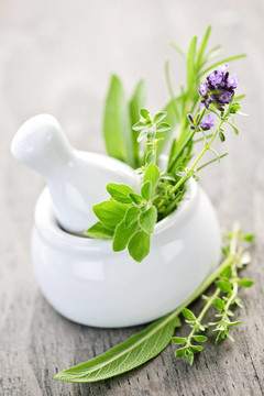 在研缽和杵草藥