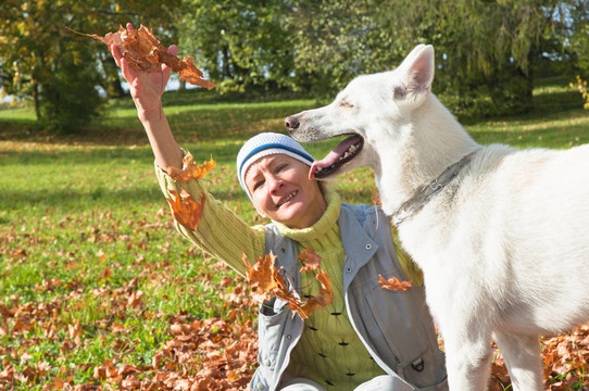 秋天公园里带着白色狗的女人