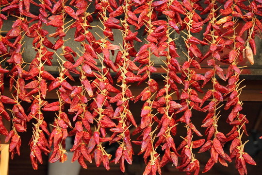紅辣椒