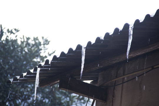冰掛融雪