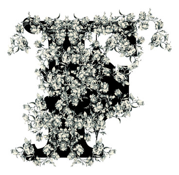 字母F。