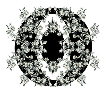 字母O.