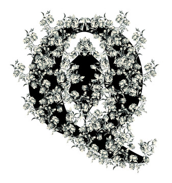 字母q.