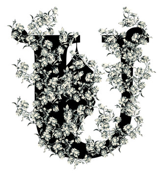 字母U。