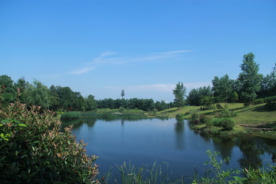 八曲河濕地公園