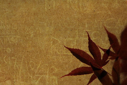 紅葉紙