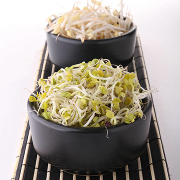 黃豆芽
