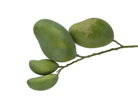 青芒果套