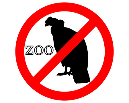 禿鷲在動物園禁止