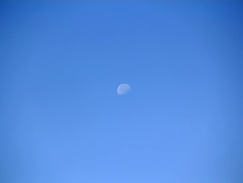 天宇和Moon