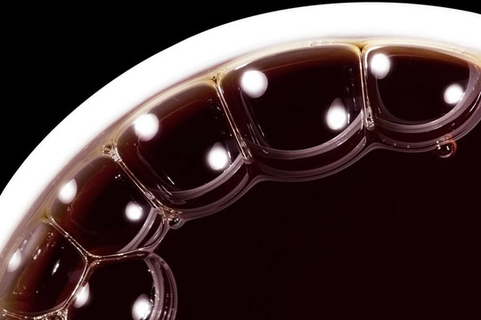 茶泡