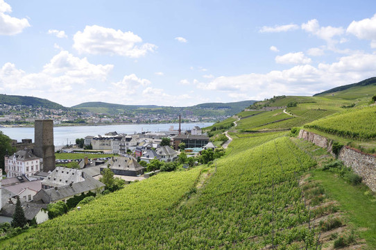 Ruedesheim；德國