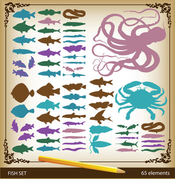 魚(yú)和海鮮貝殼的輪廓