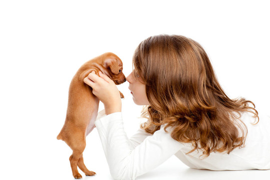 與小狗迷你杜賓犬黑色的輪廓的女孩