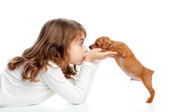 與小狗迷你杜賓犬黑色的輪廓的女孩