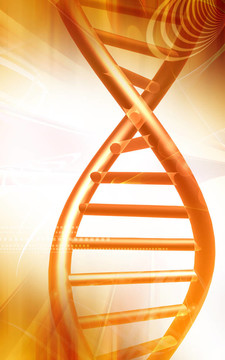 DNA