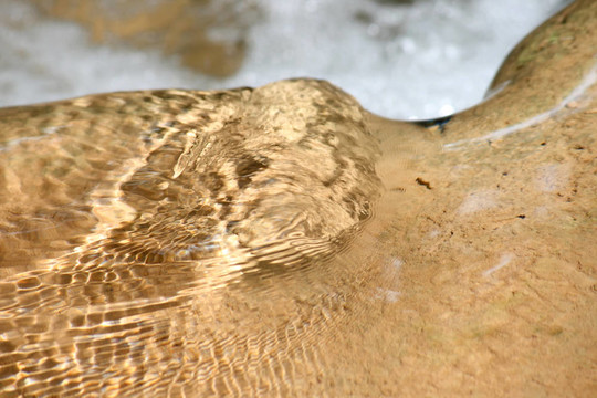 水