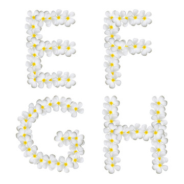 該字母孤立