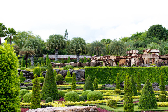 nongnooch熱帶植物園；芭堤雅