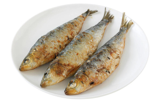 炒沙丁油魚(yú)