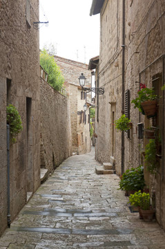 Colle di Val d埃爾莎（錫耶納；托斯卡納）