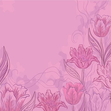 花背景；郁金香；粉紅色