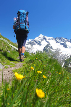 在奧地利阿爾卑斯山路遠足