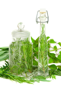 烹飪或醫(yī)藥用草藥