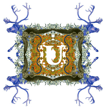 字母U。