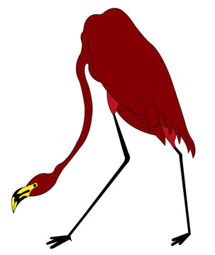 火烈鳥
