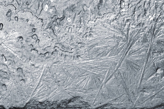 Frost的背景