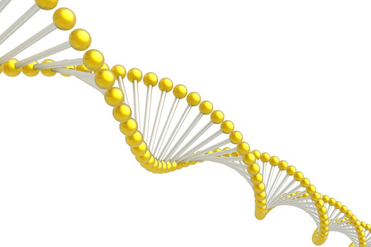 DNA