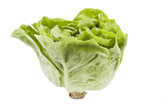 鮮綠色生菜