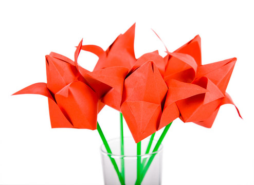 origamis。郁金香.