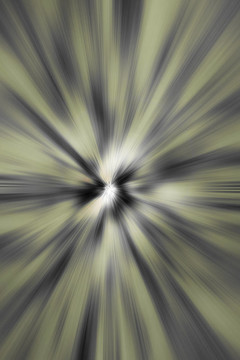 摘要