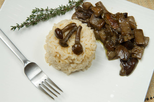 蘑菇燴飯