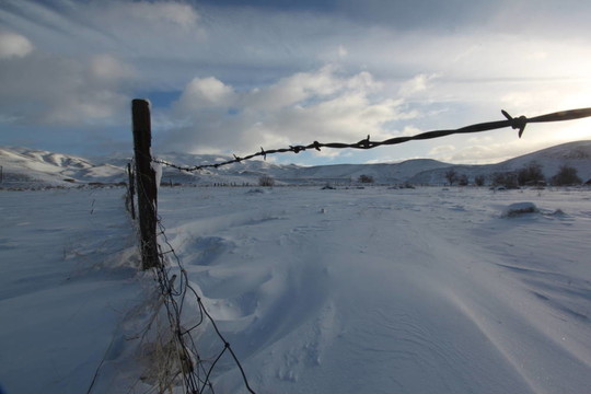 早晨雪