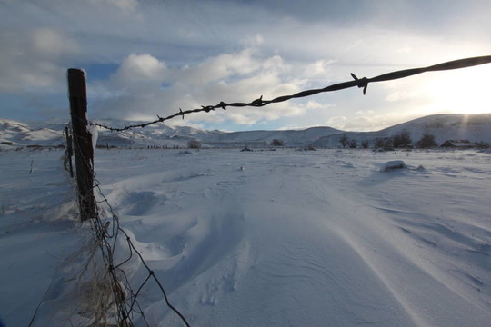 早晨雪