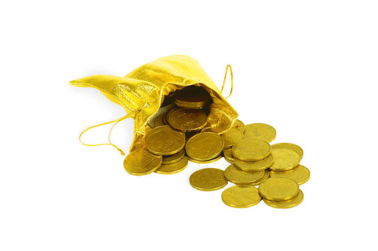 金錢金幣在白色的袋子上孤立