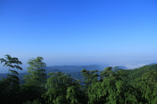 青山