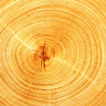 砍木頭